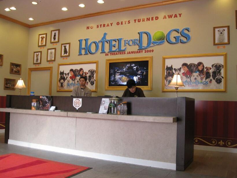 A scene from "Hotel for Dogs."
