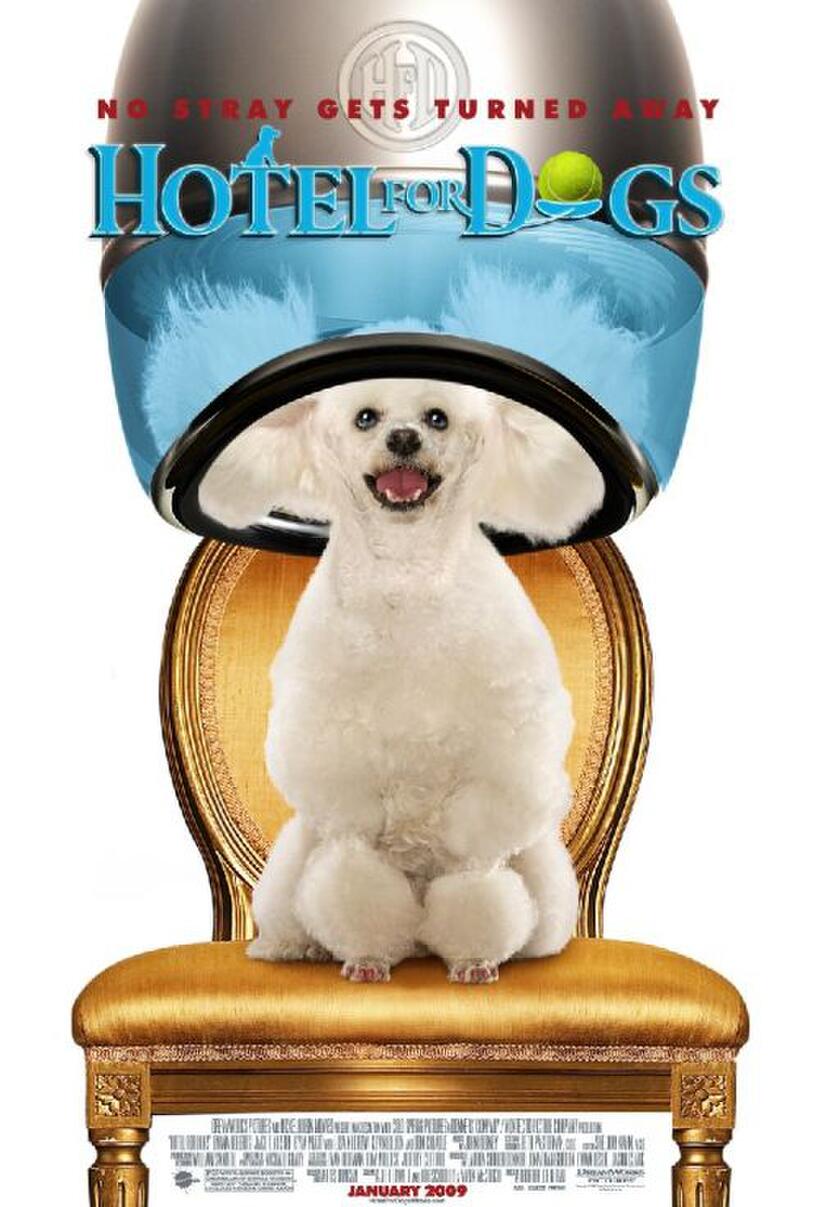 Poster Art for "Hotel for Dogs."