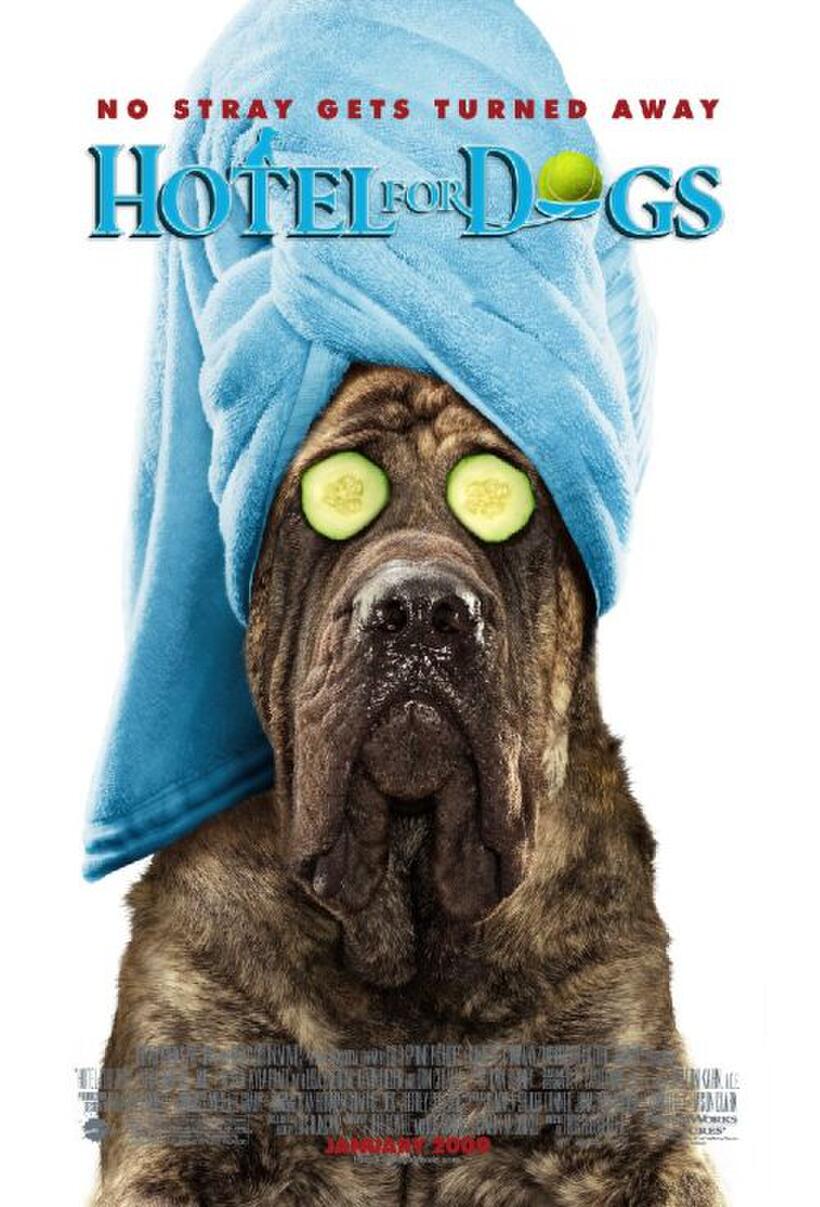Poster Art for "Hotel for Dogs."