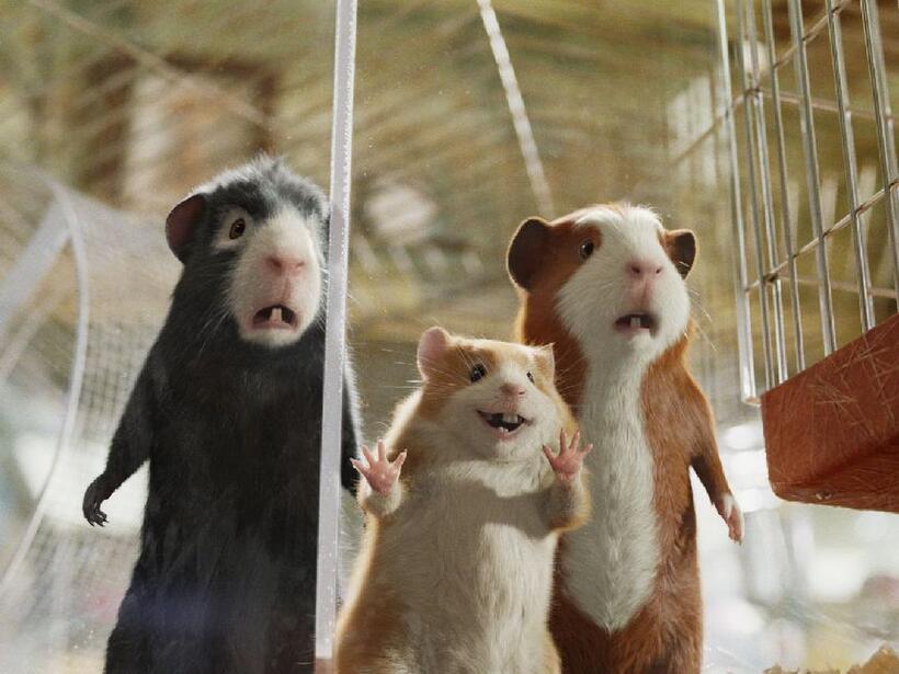Blaster, Bucky and Darwin in "G-Force."