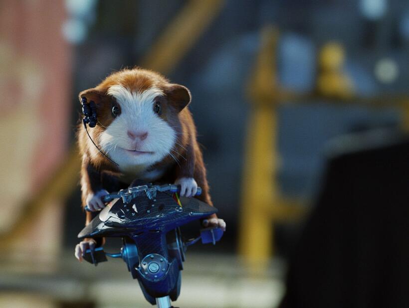 Darwin in "G-Force."
