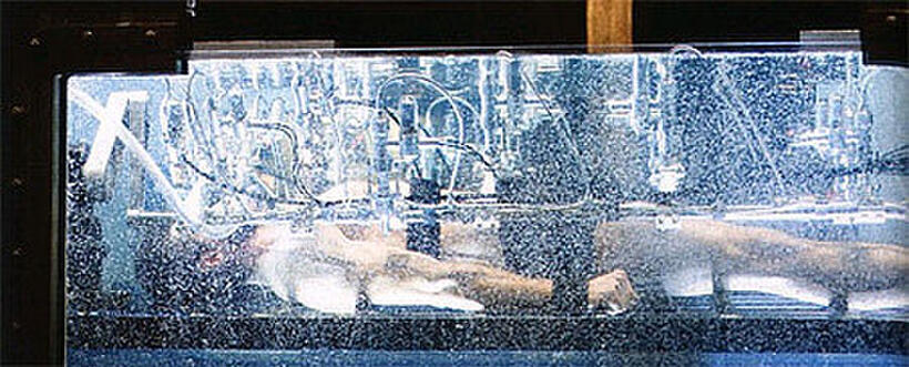 A scene from "X-Men Origins: Wolverine."