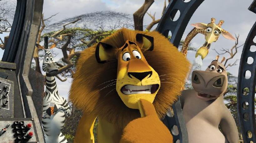 Marty the zebra (Chris Rock), Alex the lion (Ben Stiller), Melman the giraffe (David Schwimmer) and Gloria the hippo (Jada Pinkett Smith) in "Madagascar: Escape 2 Africa."