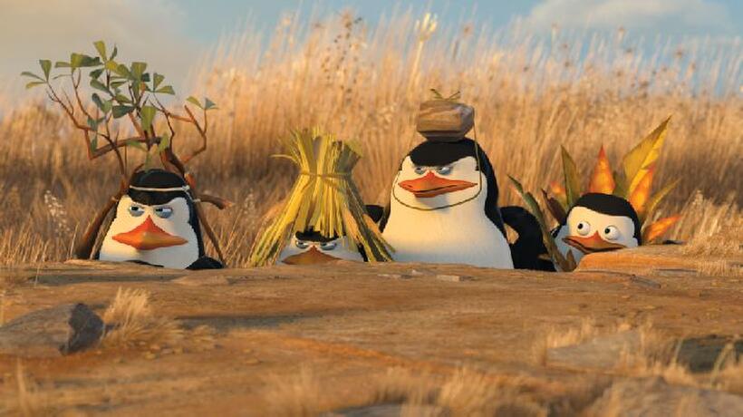 Penguins Kowalski (Chris Miller), Rico, the Skipper (Tom Mcgrath) and Private (Christopher Knights) in "Madagascar: Escape 2 Africa."
