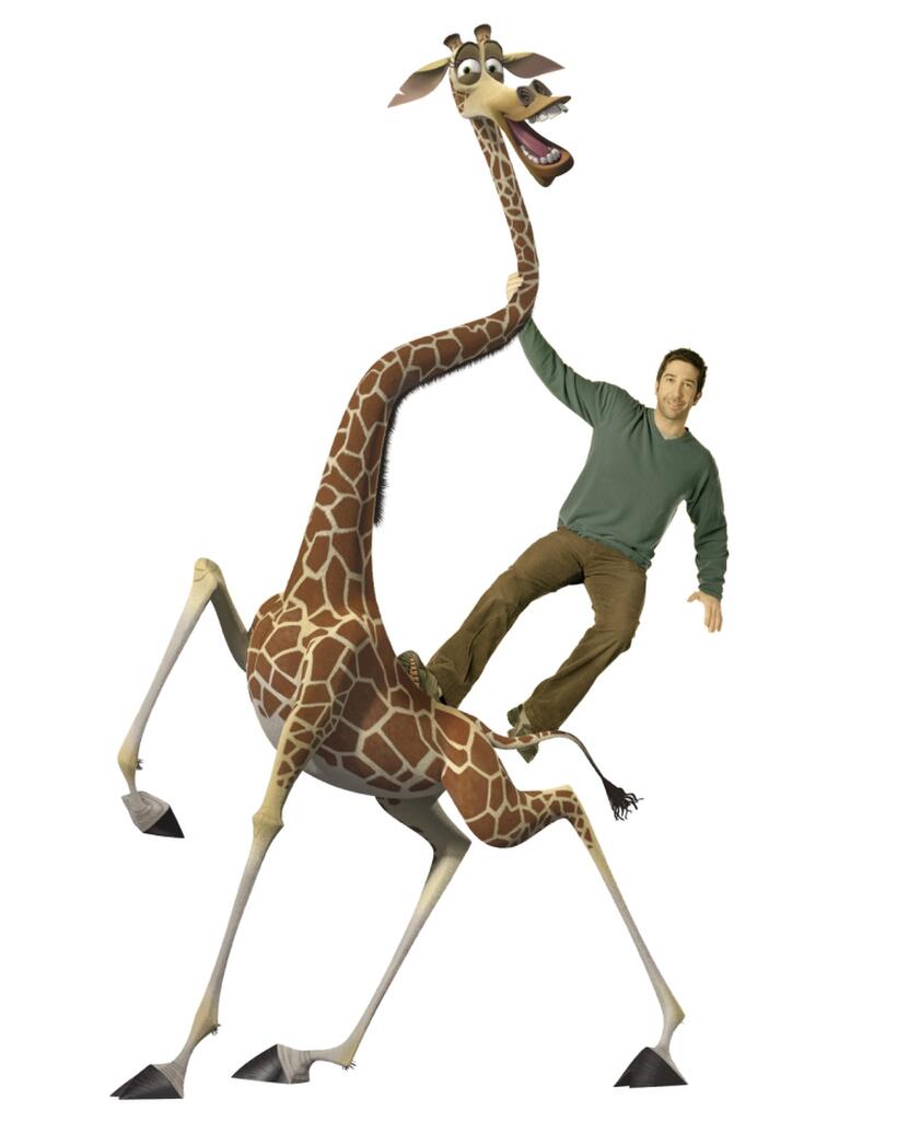 David Schwimmer voices Melman the giraffe in "Madagascar: Escape 2 Africa."