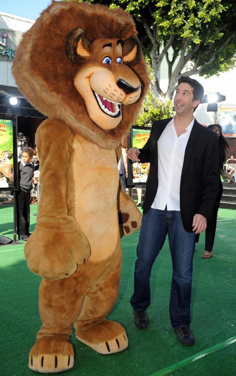 David Schwimmer at the California premiere of "Madagascar: Escape 2 Africa."