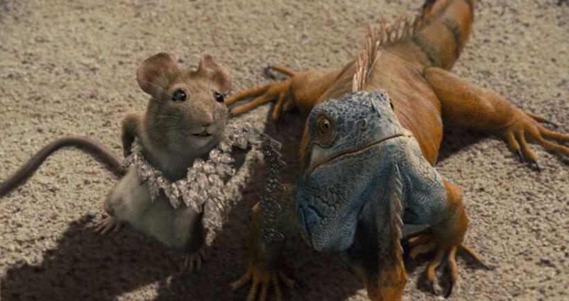 Manuel and Chico in "Beverly Hills Chihuahua."