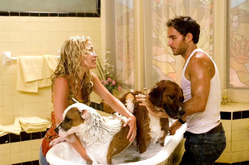 Piper Perabo and Manolo Cardona in "Beverly Hills Chihuahua."