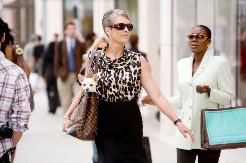 A scene from "Beverly Hills Chihuahua."