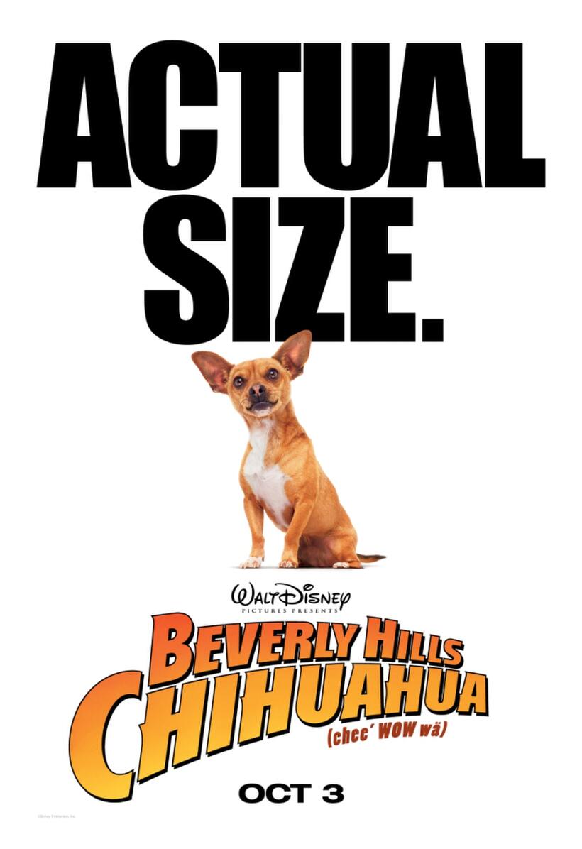 Poster Art for "Beverly Hills Chihuahua."