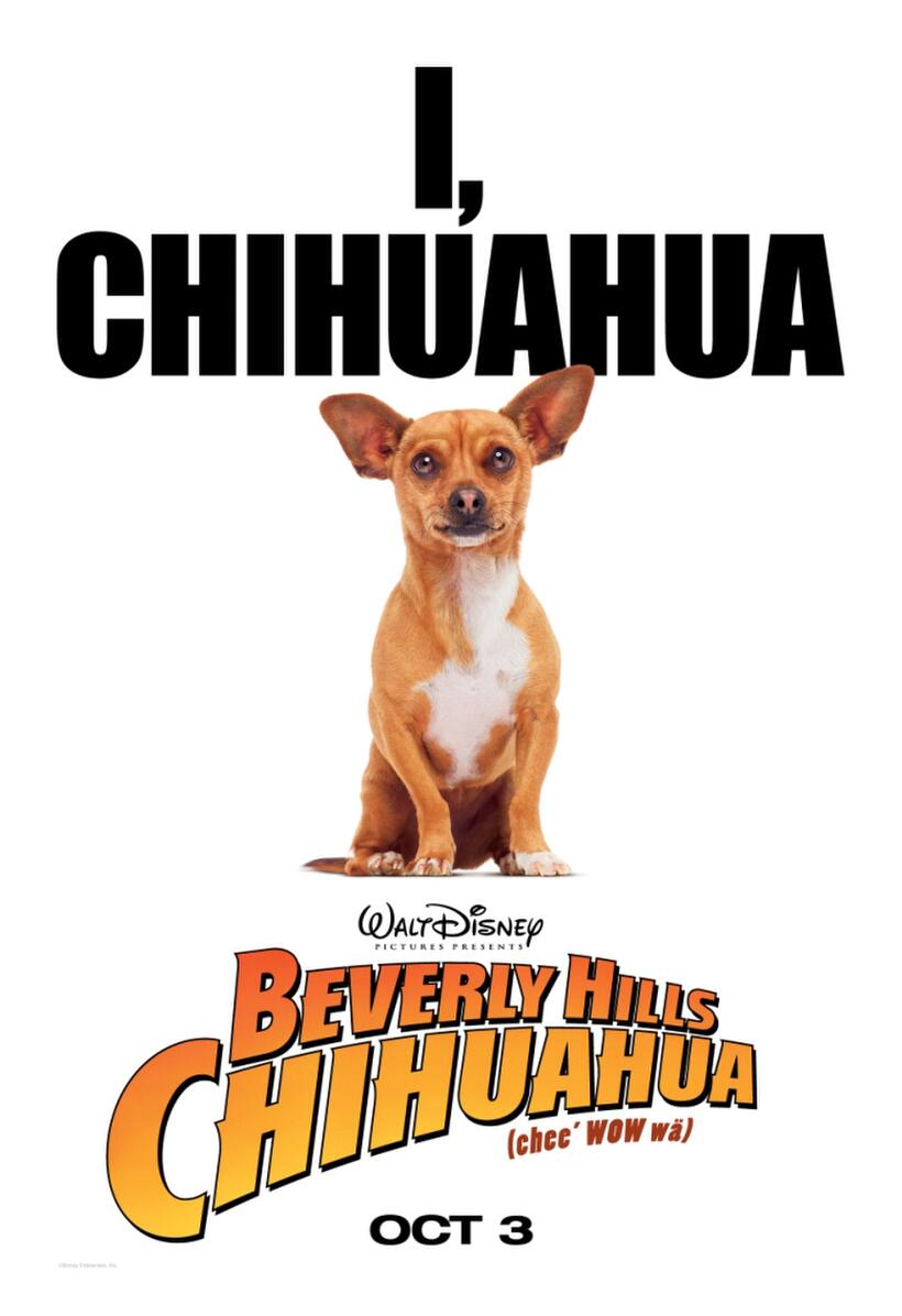 Poster Art for "Beverly Hills Chihuahua."