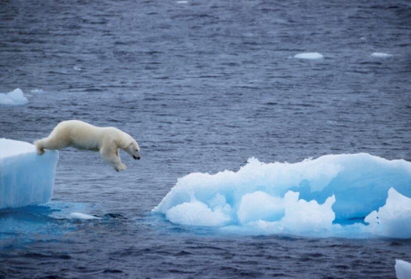 A scene from "Earth."