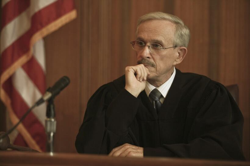 Dick Smothers as Judge Harold Baker in "The Informant!"