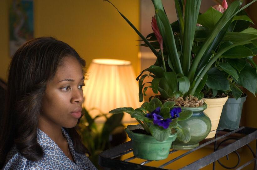 Nicole Beharie in "American Violet."