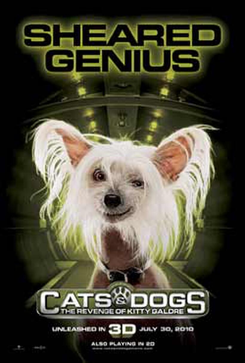 Poster art for "Cats & Dogs: The Revenge of Kitty Galore."