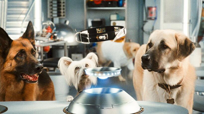 Diggs voiced by James Marsden, Peek voiced by Joe Pantoliano and Butch voiced by Nick Nolte in "Cats & Dogs: The Revenge of Kitty Galore."