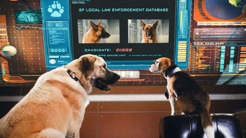 Butch voiced by Nick Nolte and Lou voiced by Neil Patrick Harris in "Cats & Dogs: The Revenge of Kitty Galore."