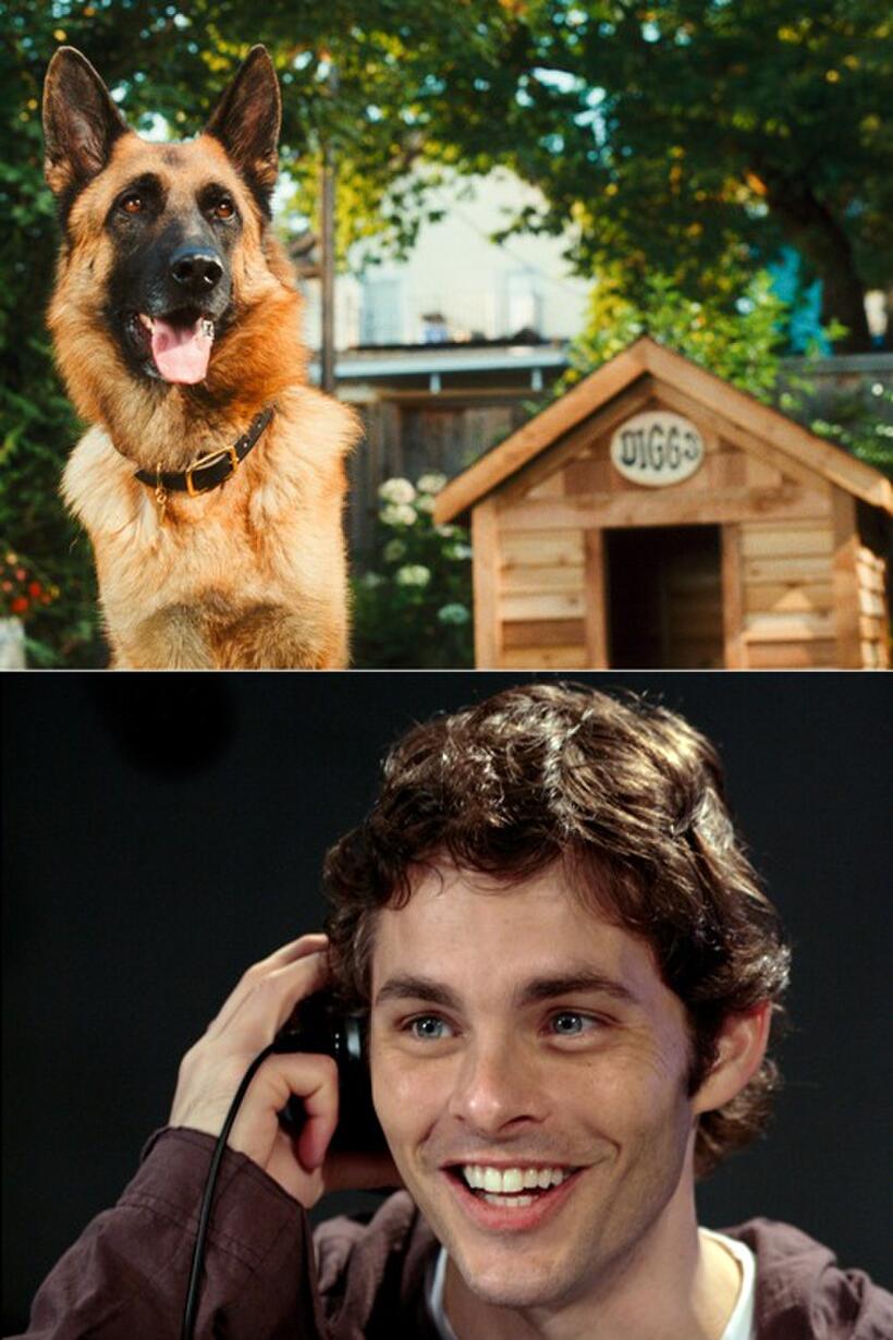 Diggs voiced by James Marsden in "Cats & Dogs: The Revenge of Kitty Galore."