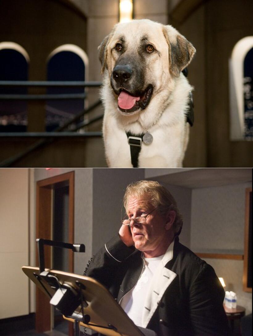 Butch voiced by Nick Nolte in "Cats & Dogs: The Revenge of Kitty Galore."