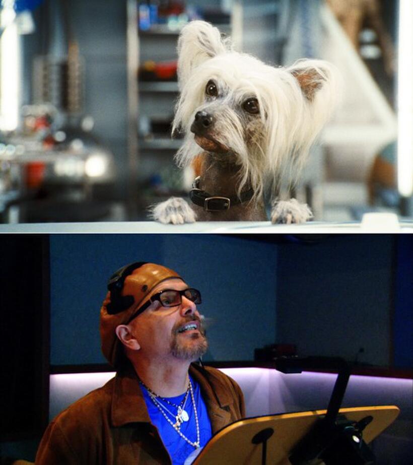 Peek voiced by Joe Pantoliano in "Cats & Dogs: The Revenge of Kitty Galore."