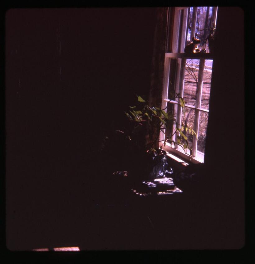 A scene from "Must Read After My Death."