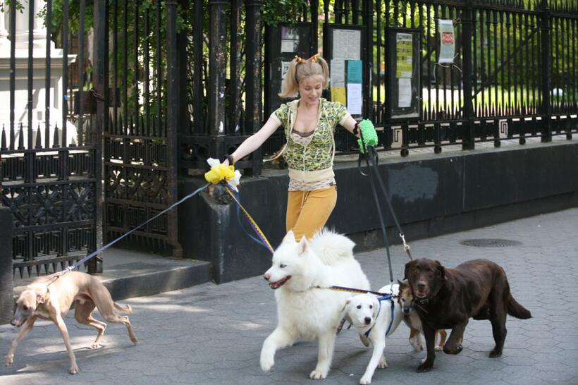 Evan Rachel Wood as Melody in "Whatever Works."