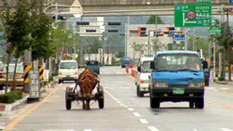 A scene in "Old Partner."