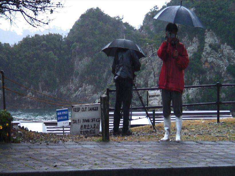 A scene from "The Cove."