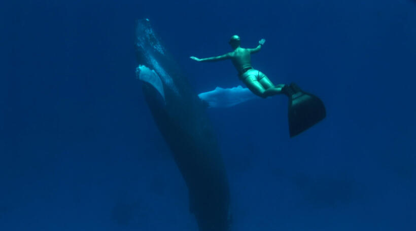 Mandy-Rae Cruickshank in "The Cove."