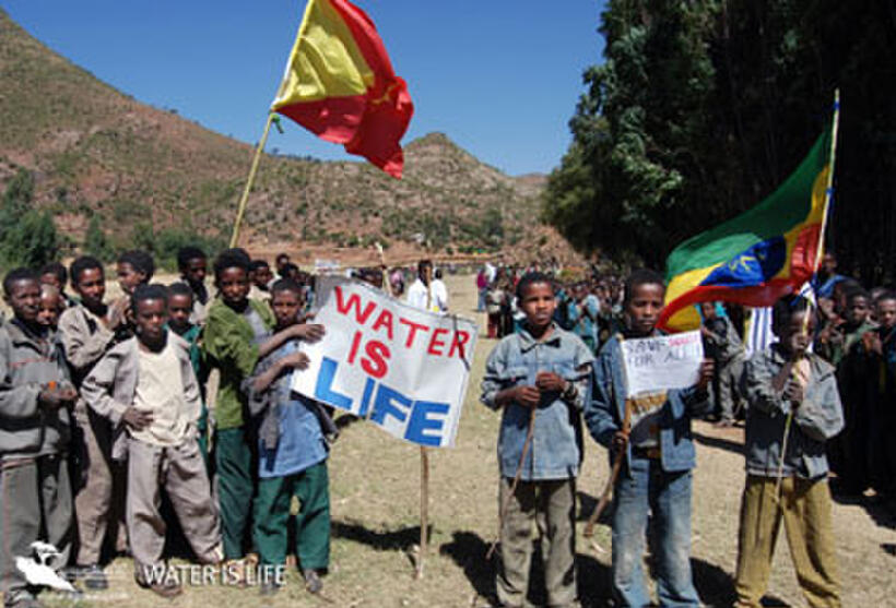 An image from "One Peace at a Time."