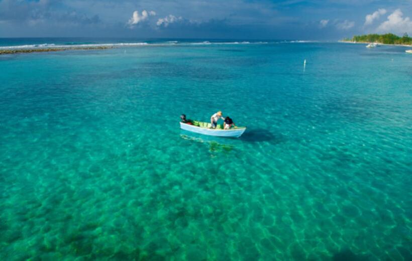A scene from "Cayman Went."