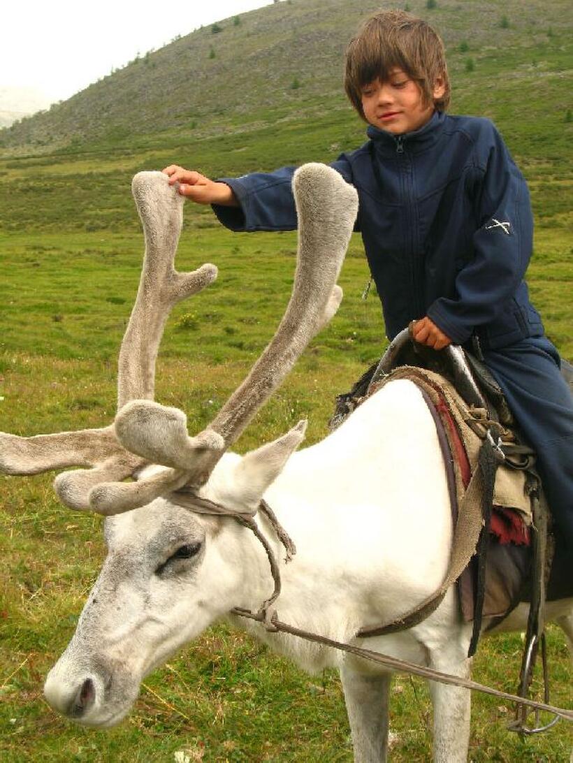 Rowan Isaacson in "The Horse Boy."