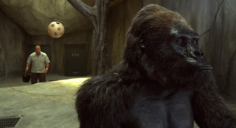 Kevin James in "The Zookeeper."