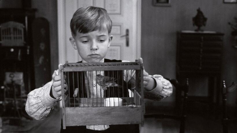 Thibault Serie as Gustav in "The White Ribbon."