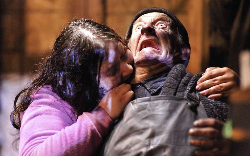 A scene from "Survival of the Dead."