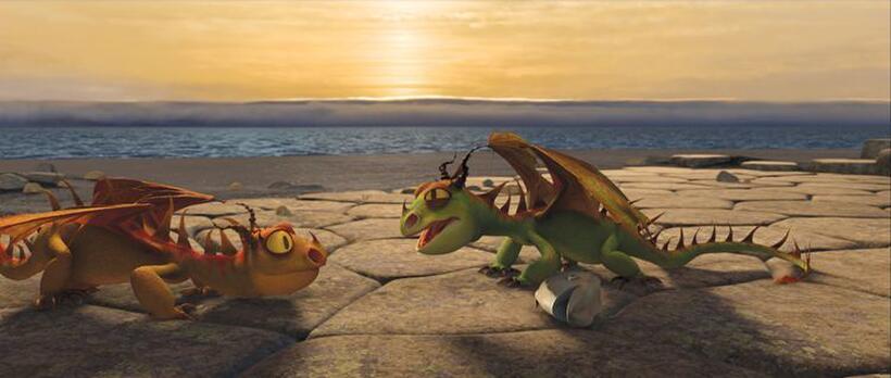 A scene from "How to Train Your Dragon: An IMAX 3D Experience."