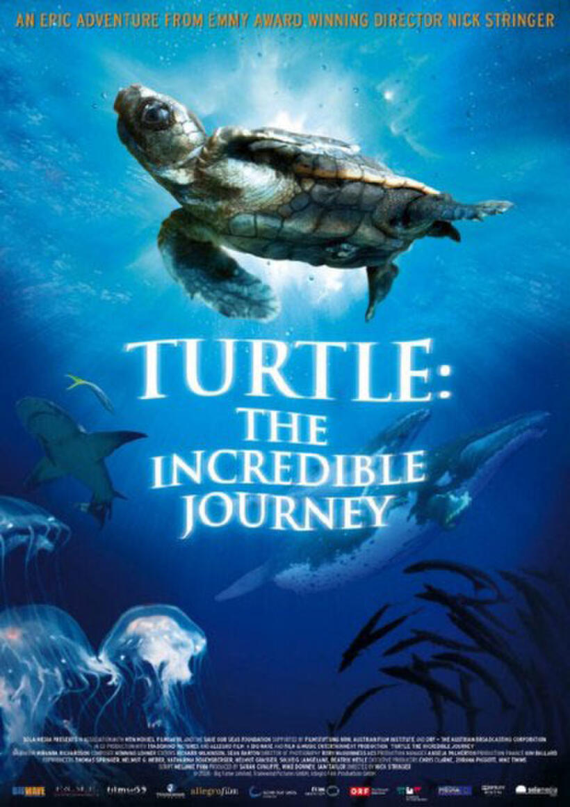 Poster art for "Turtle: the incredible Journey."
