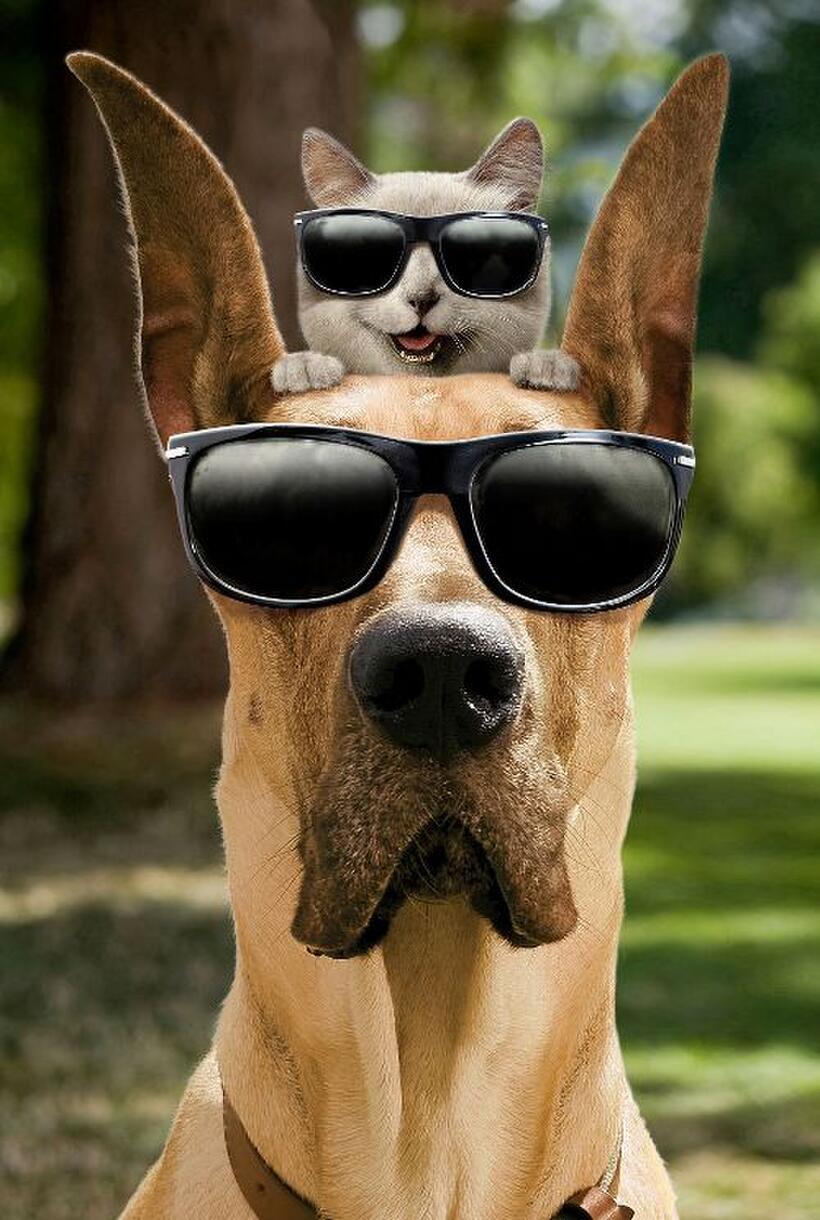 George Lopez voices Pal Carlos and Owen Wilson voices Marmaduke in "Marmaduke."