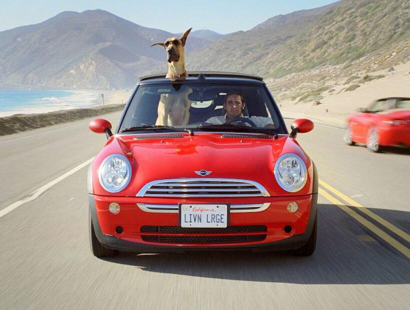 Marmaduke and Lee Pace as Phil Winslow in "Marmaduke."