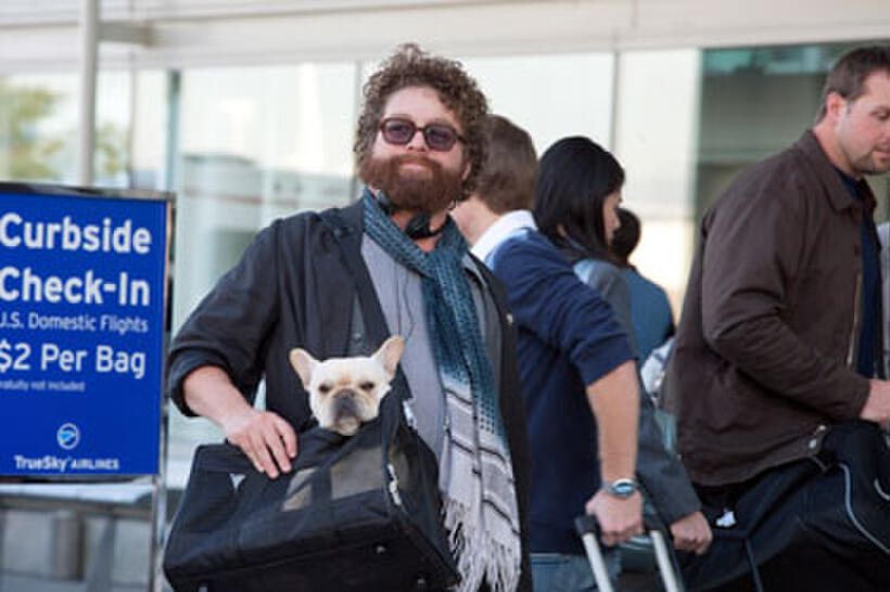 Zach Galifianakis in "Due Date"