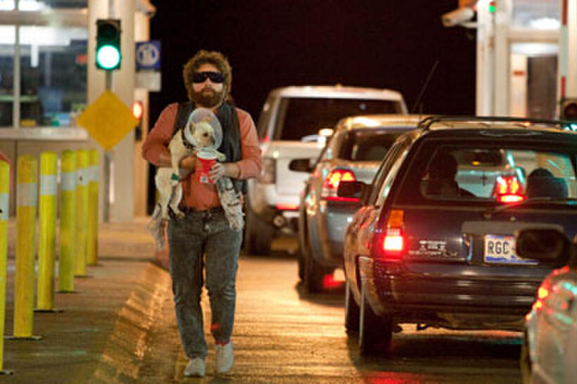 Zach Galifianakis in "Due Date"