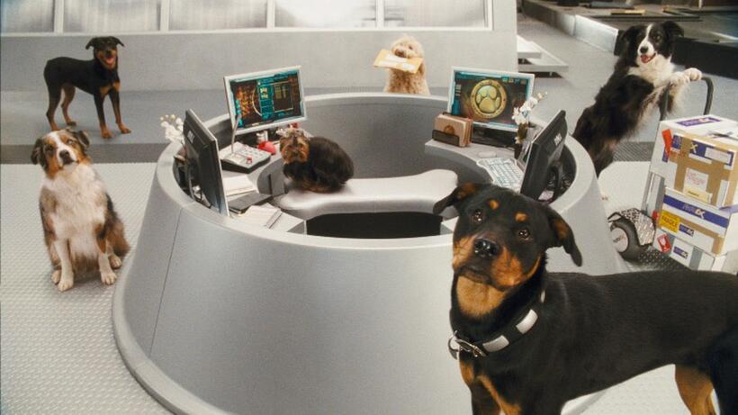 A scene from "Cats & Dogs: The Revenge of Kitty Galore."