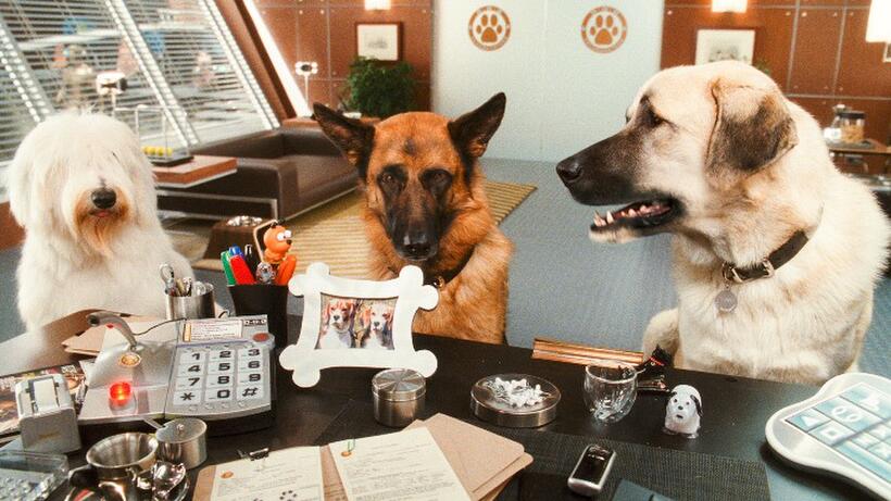 Sam voiced by Michael Clarke Duncan, Diggs voiced by James Marsden and Butch voiced by Nick Nolte in "Cats & Dogs: The Revenge of Kitty Galore."