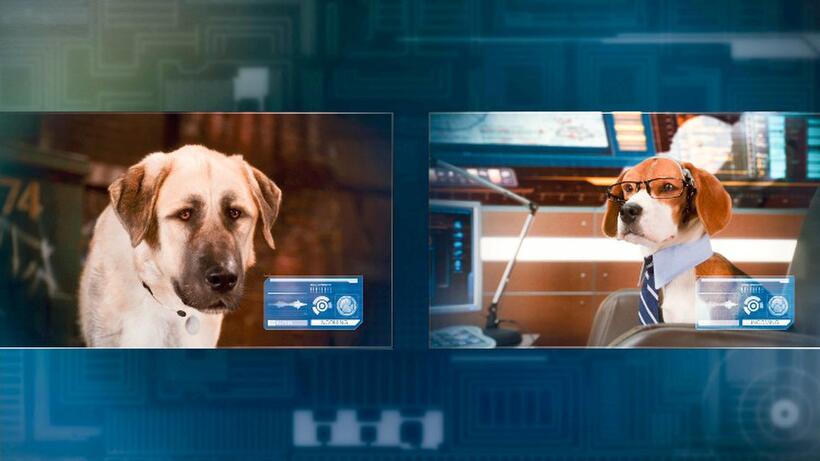 Butch voiced by Nick Nolte and Lou voiced by Neil Patrick Harris in "Cats & Dogs: The Revenge of Kitty Galore."