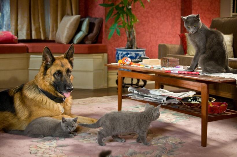 Diggs voiced by James Marsden and Catherine voiced by Christina Applegate in "Cats & Dogs: The Revenge of Kitty Galore."