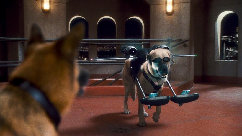 Diggs voiced by James Marsden and Butch voiced by Nick Nolte in "Cats & Dogs: The Revenge of Kitty Galore."