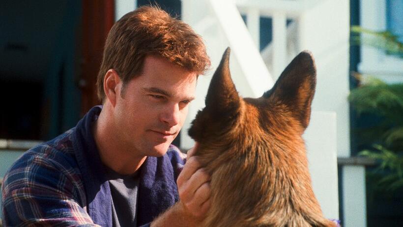 Chris O'donnell as Shane and Diggs voiced by James Marsden in "Cats & Dogs: The Revenge of Kitty Galore."