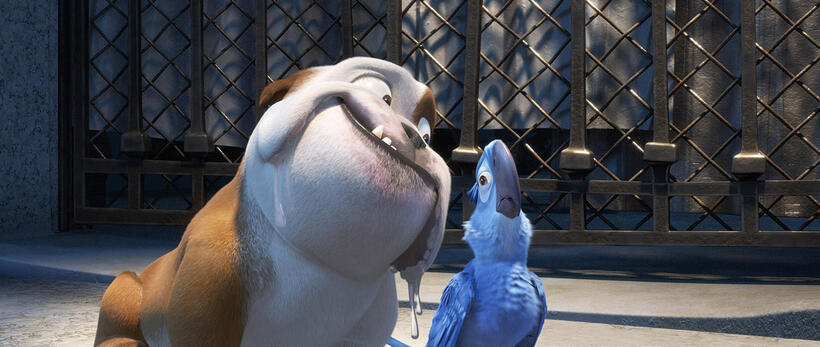 A scene from "Rio."