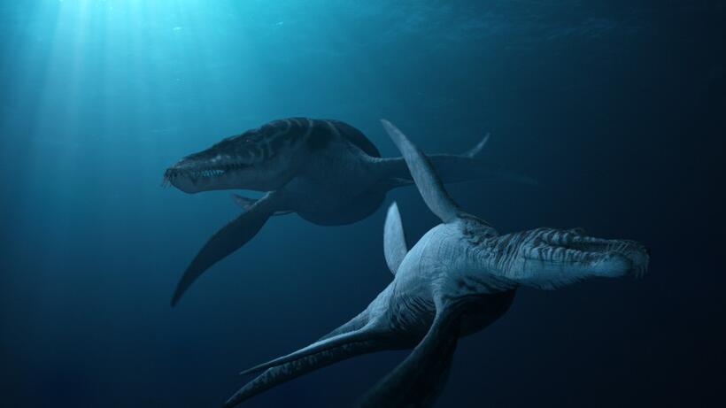 A scene from "Sea Rex: Journey to a Prehistoric World."