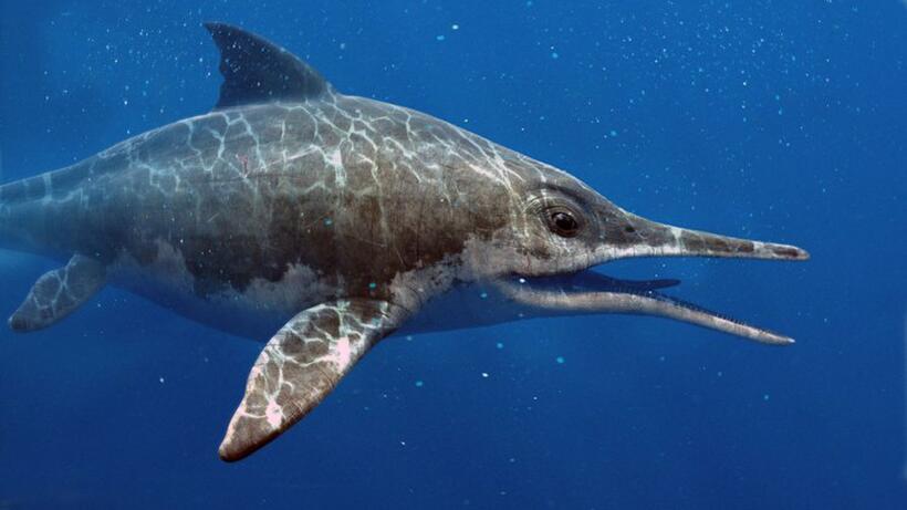 A scene from "Sea Rex: Journey to a Prehistoric World."